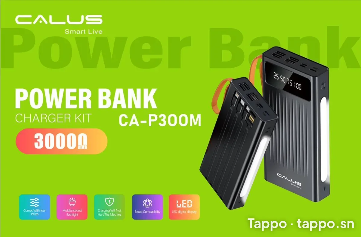 Power Bank Calus CA-P300M 30000mAh avec câbles intégrés
