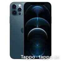 iPhone 12 Pro 128 Go - État neuf