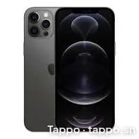 iPhone 12 Pro Max 128 Go - État Neuf