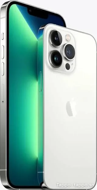 iPhone 13 Pro Max 128 Go - État Neuf